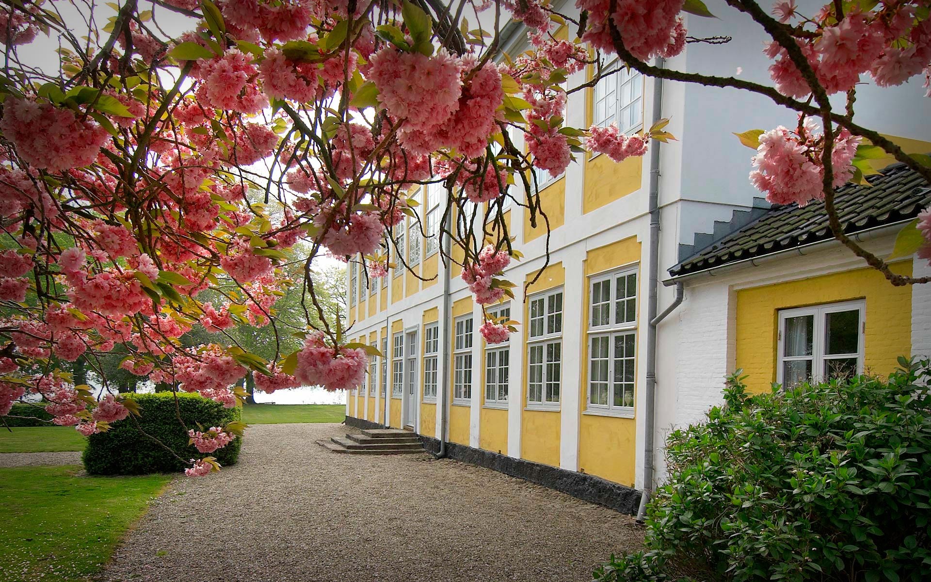 Kursuslokaler og konferencecenter i Sønderborg